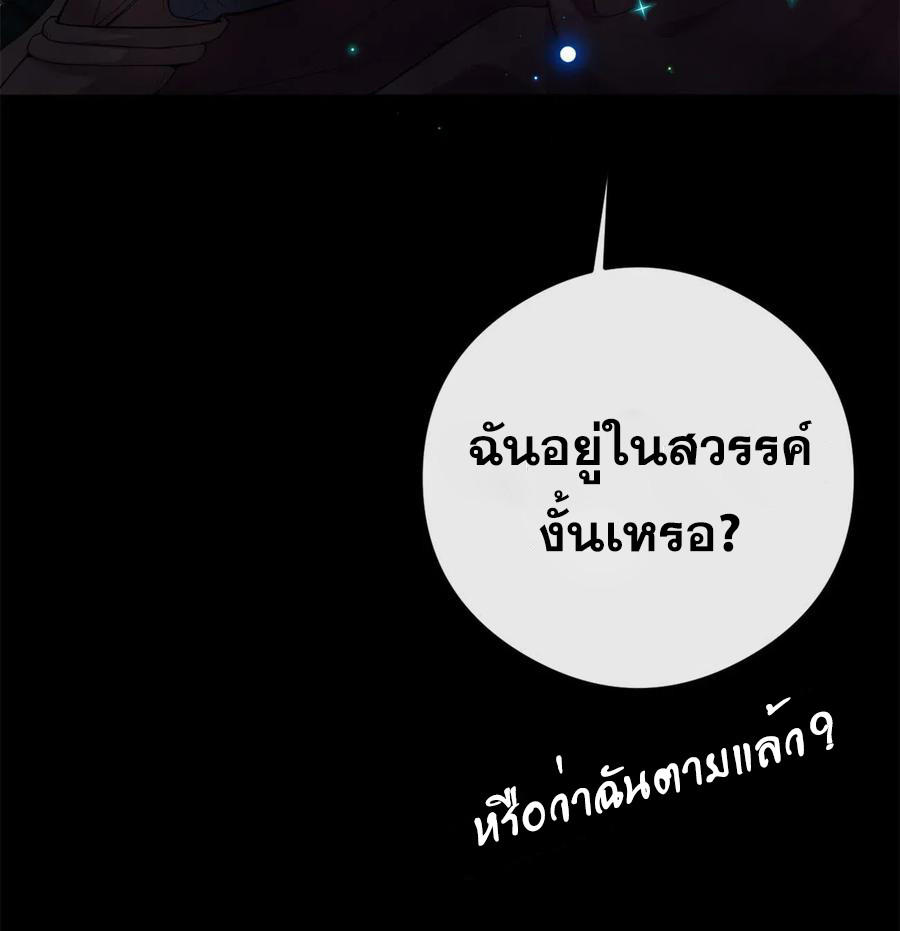 CNV1 (17)